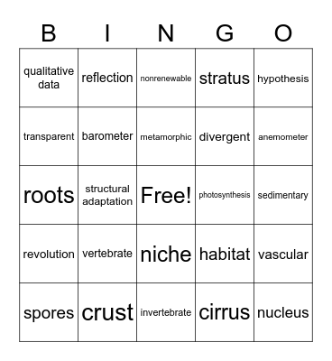 Science Bingo Card