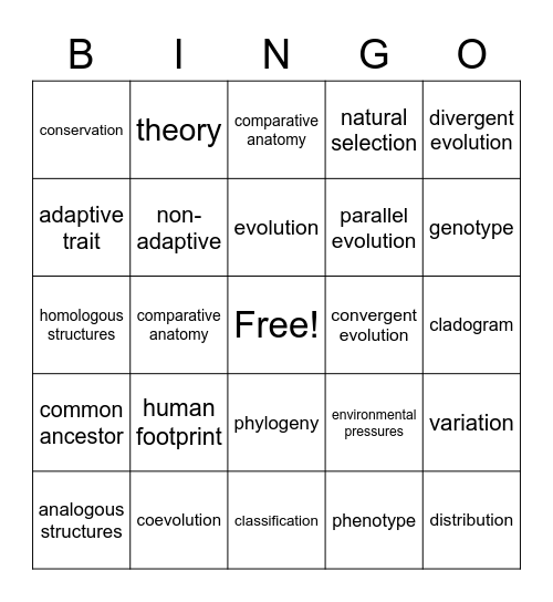 Evolutionary History Unit Bingo Card