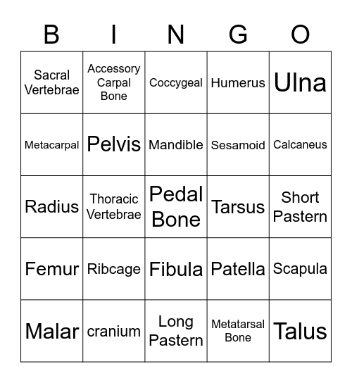 Horse Skeleton Bingo Card