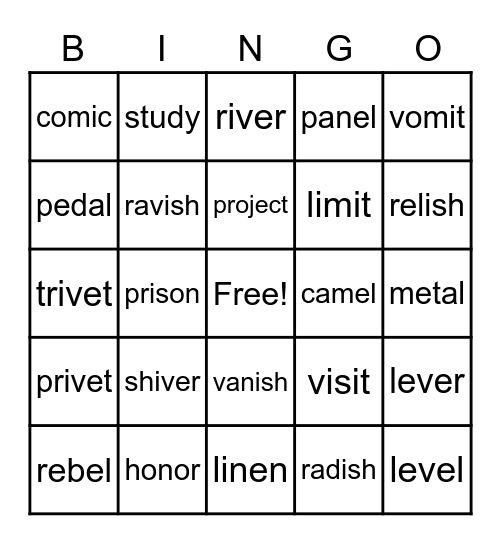 VC/V Bingo Card