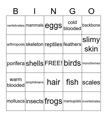 classifying animals  Bingo Card
