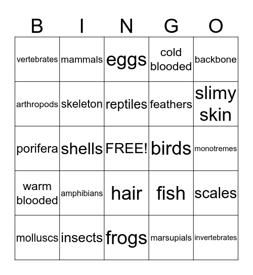 classifying animals  Bingo Card