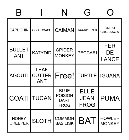 SLCC STUDY ABROAD Bingo Card