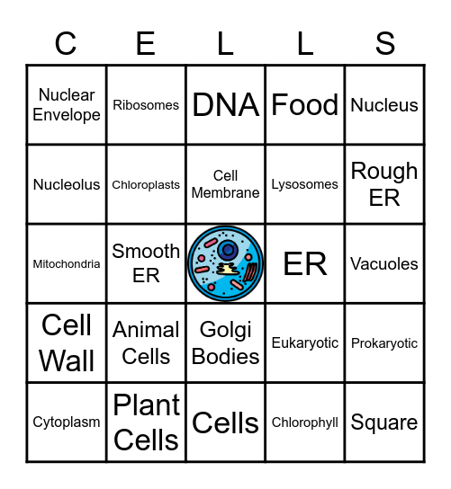 7th Grade Cell Review Bingo Card