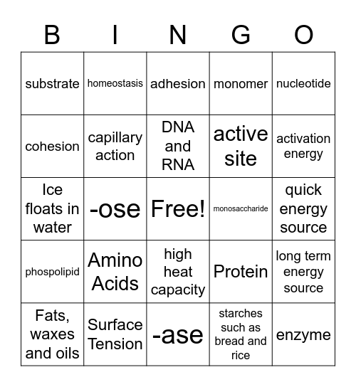 Biochemistry Review Bingo Card