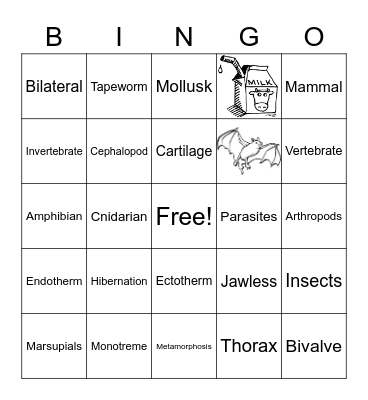 ANIMALS Bingo Card