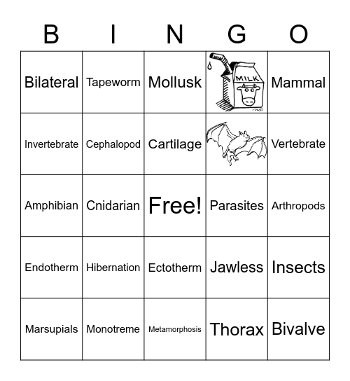 ANIMALS Bingo Card