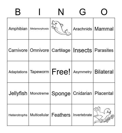 ANIMALS Bingo Card