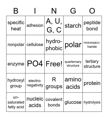 Chemistry of Life AP Biology Bingo Card
