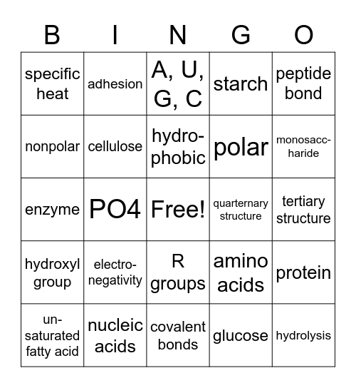 Chemistry of Life AP Biology Bingo Card