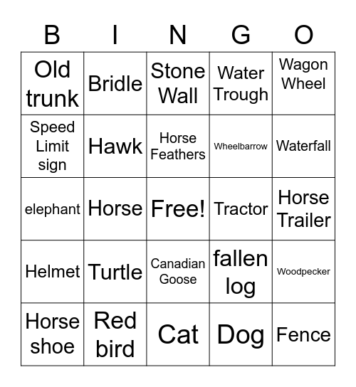 Carousel Park Bingo Card