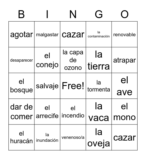 L.6 Vocabulario: La naturaleza Bingo Card
