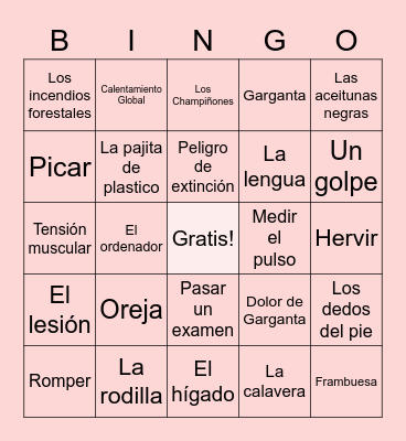 Bingo Vocabulario Bingo Card