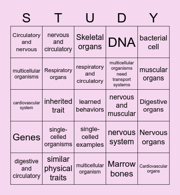 Living organisms Bingo Card