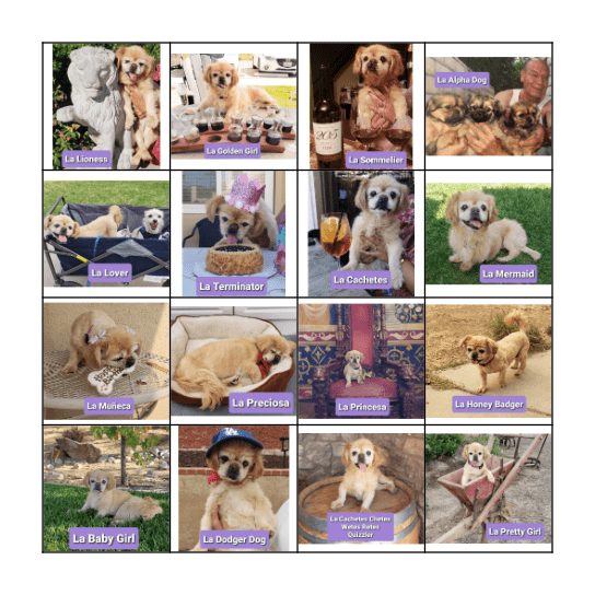 Chetes Loteria Bingo Card