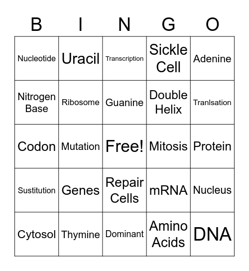DNA and Protein Synthesis Bingo Card