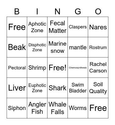 Biology II Bingo Card