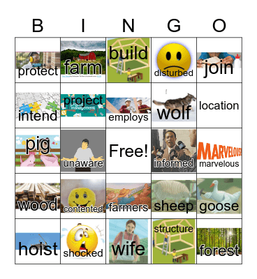 G1 U5 W5 The Sheep, the Pig, and the Goose Bingo Card