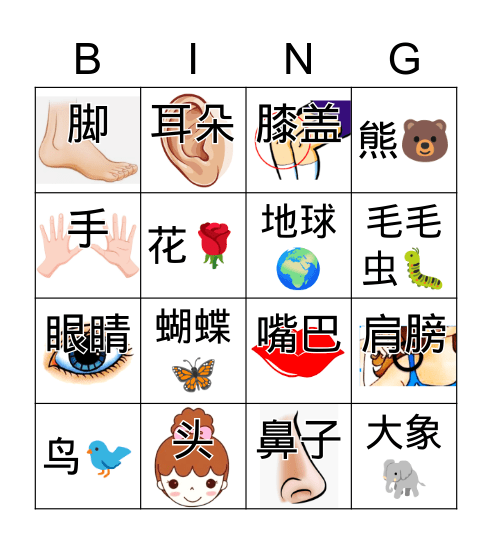 身体部位 Bingo Card