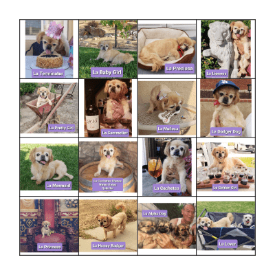 Chetes Loteria Bingo Card