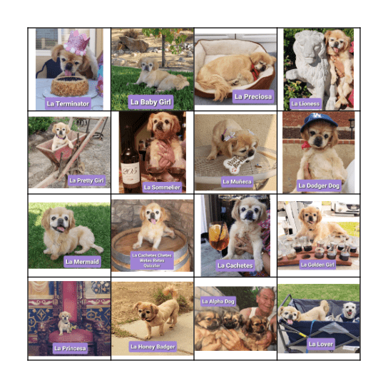 Chetes Loteria Bingo Card