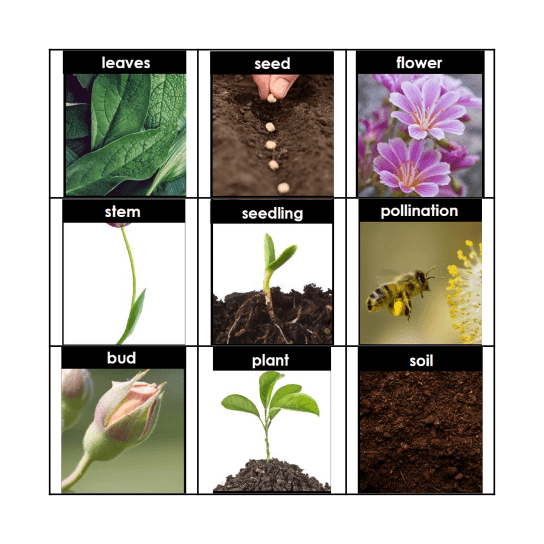 Gardening Bingo Card