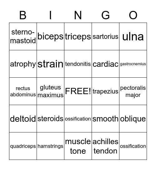 Bones/Muscles Bingo Card