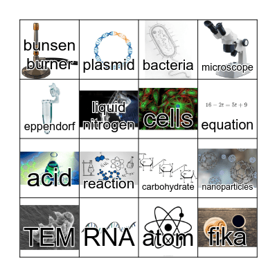 BIO & K Spring Party 2022 Bingo Card
