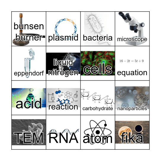 BIO & K Spring Party 2022 Bingo Card