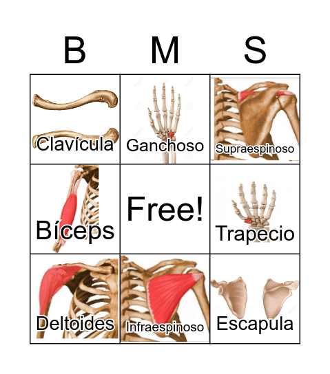 Bingo Miembro Superior Bingo Card
