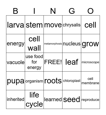 Living Things Bingo Card