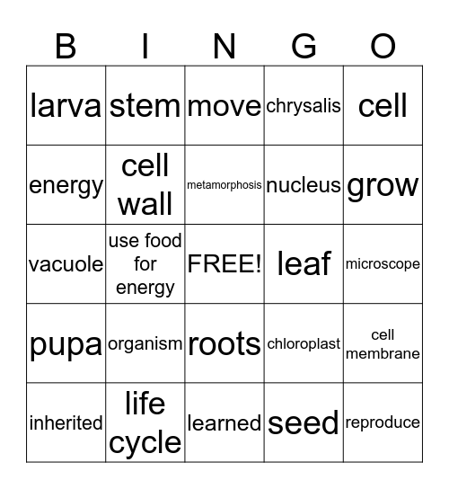 Living Things Bingo Card