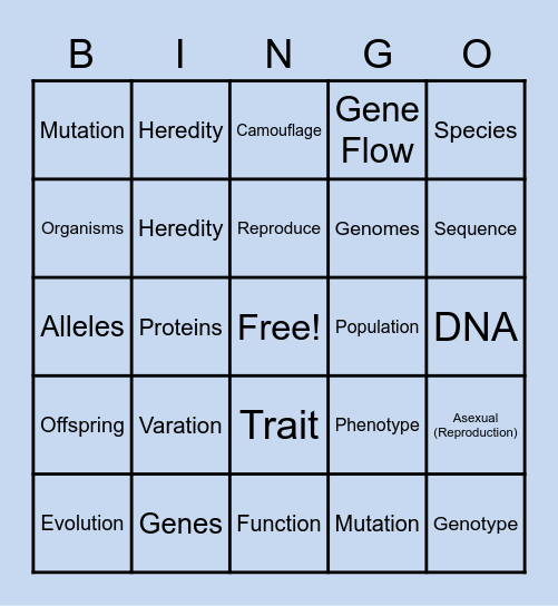 Variation Bingo Card