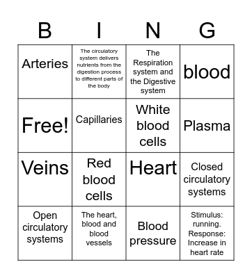 The Circulatory system Bingo Card