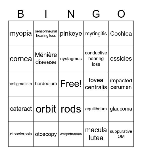 Special Senses Bingo Card