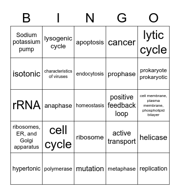 Category 1 Bingo Card