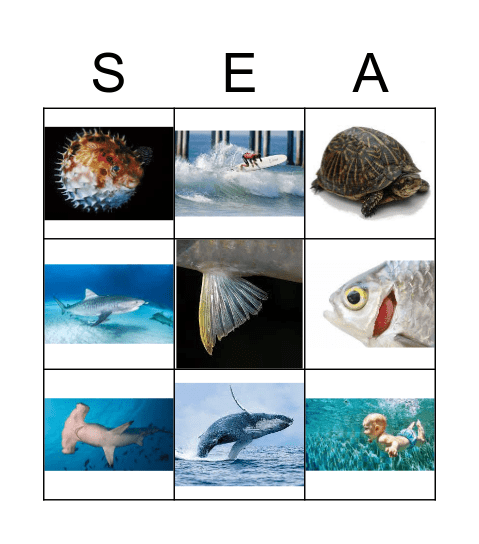 Sea Bingo Card