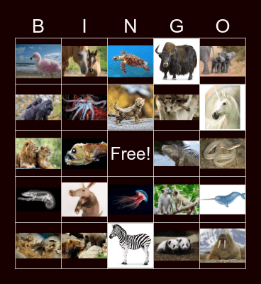 Find the word that starts with Bingo Card