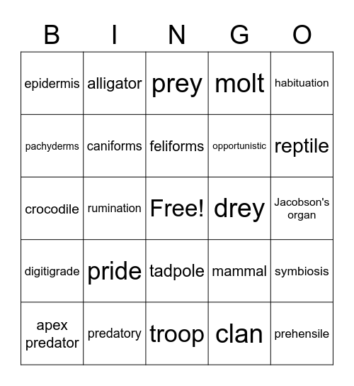 Zoology End-Of-Year! Bingo Card