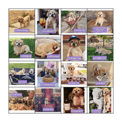 Chetes Loteria Bingo Card