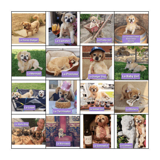 Chetes Loteria Bingo Card