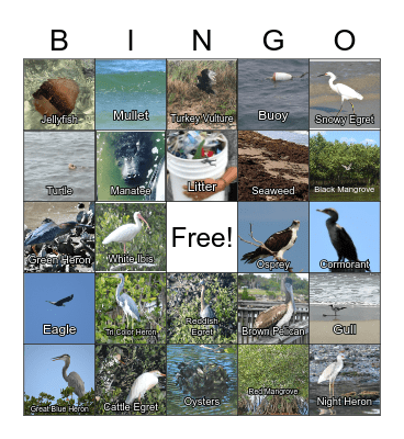 Boat Tour Bingo Card