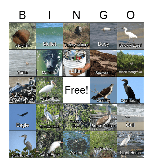 Boat Tour Bingo Card