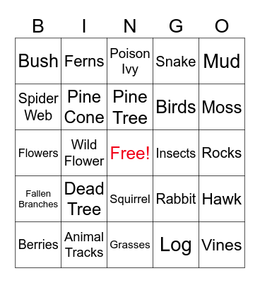 Observation Bingo Card