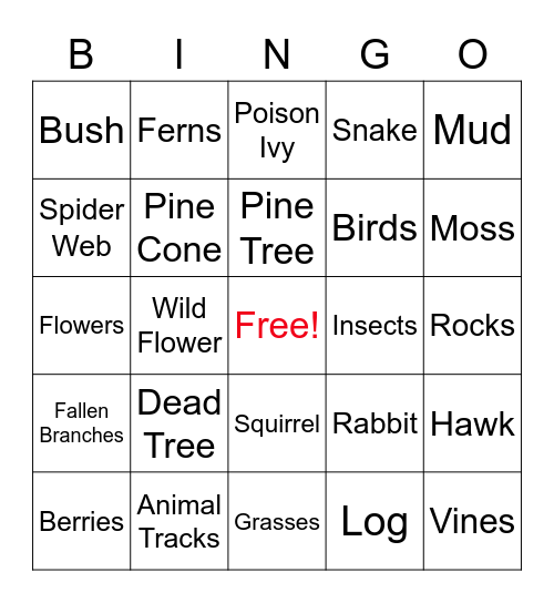 Observation Bingo Card