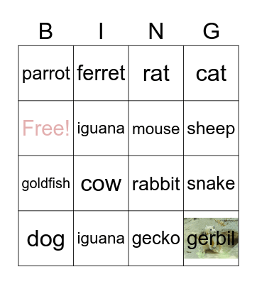 Animals Bingo Card