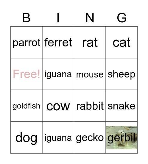 Animals Bingo Card