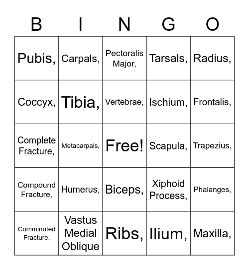 Sports Medicine Bingo Card