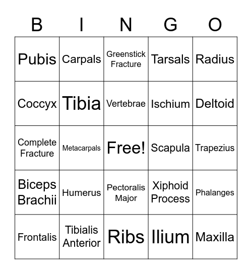 Sports Medicine Bingo Card