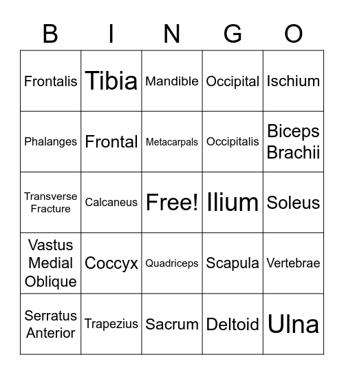 Sports Medicine Bingo Card